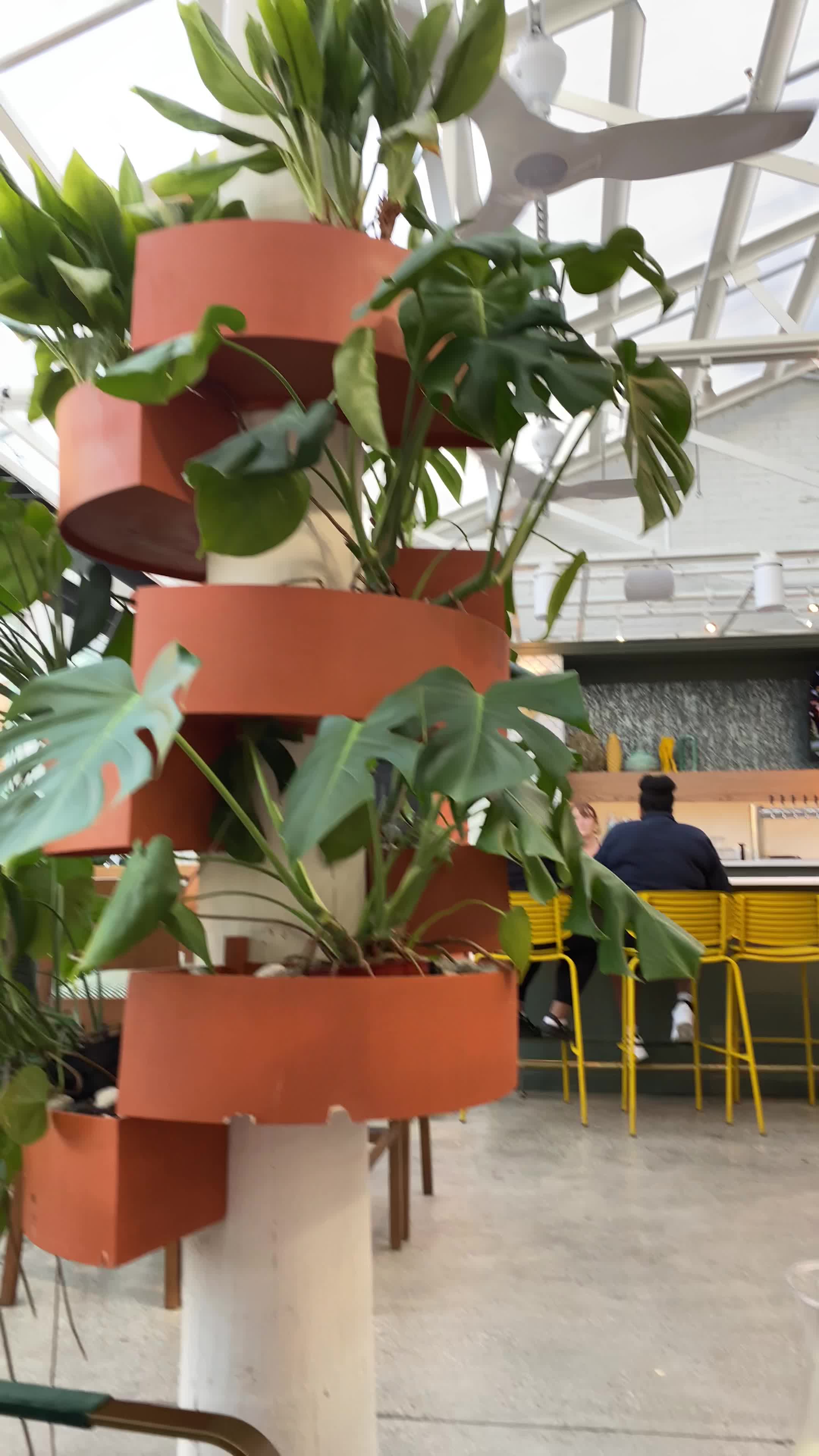 Alcove by MadTree Brewing