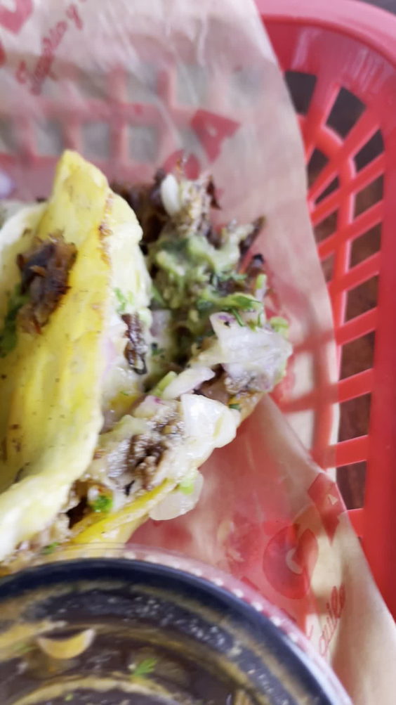 Bodega Taqueria y Tequila