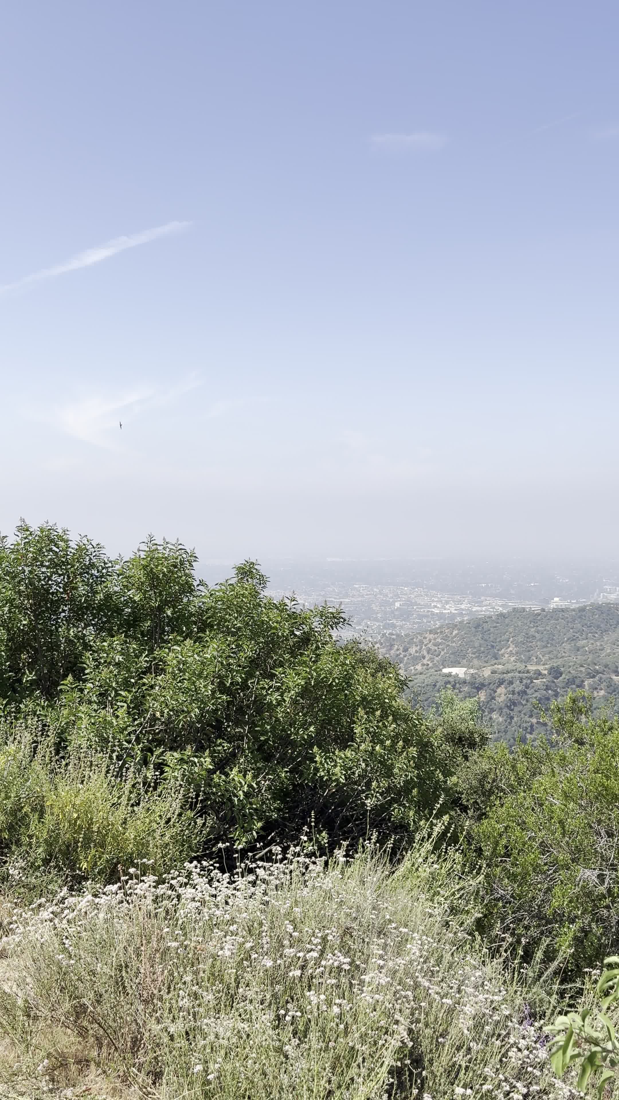 Hillside Wilderness Preserve