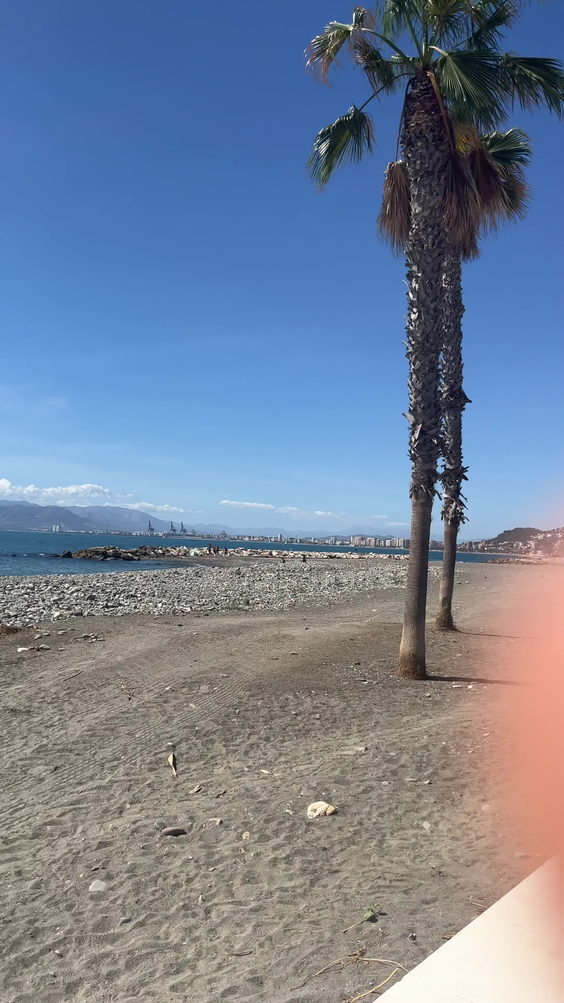 Playa El Palo