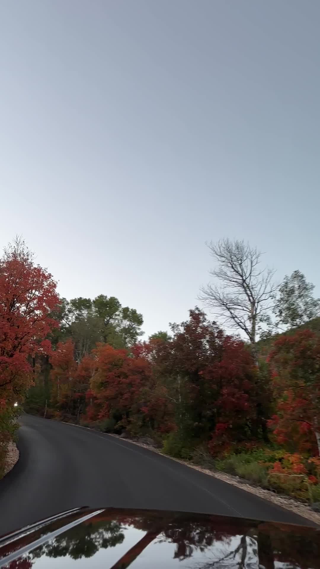 Wow Pine Canyon Trail