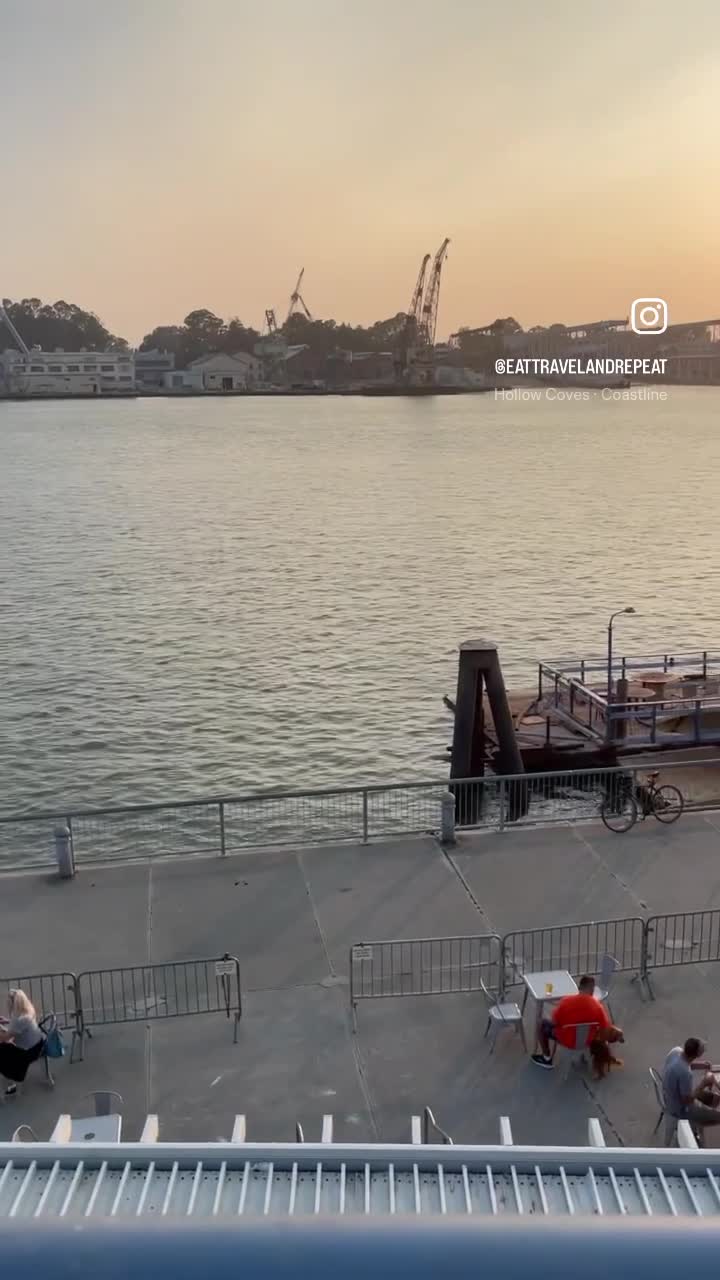 Video review of Mare Island Brewing Co.