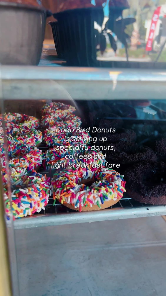 Dodo Bird Donuts