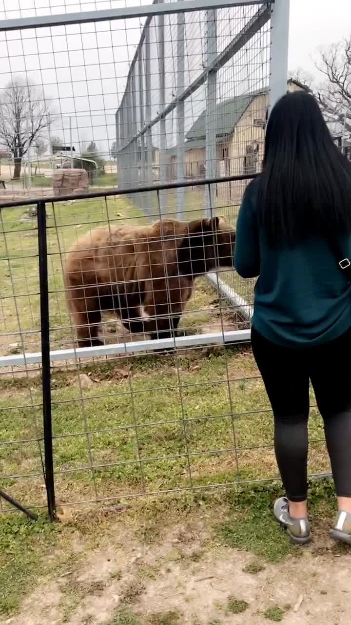 Turpentine Creek Wildlife Refuge