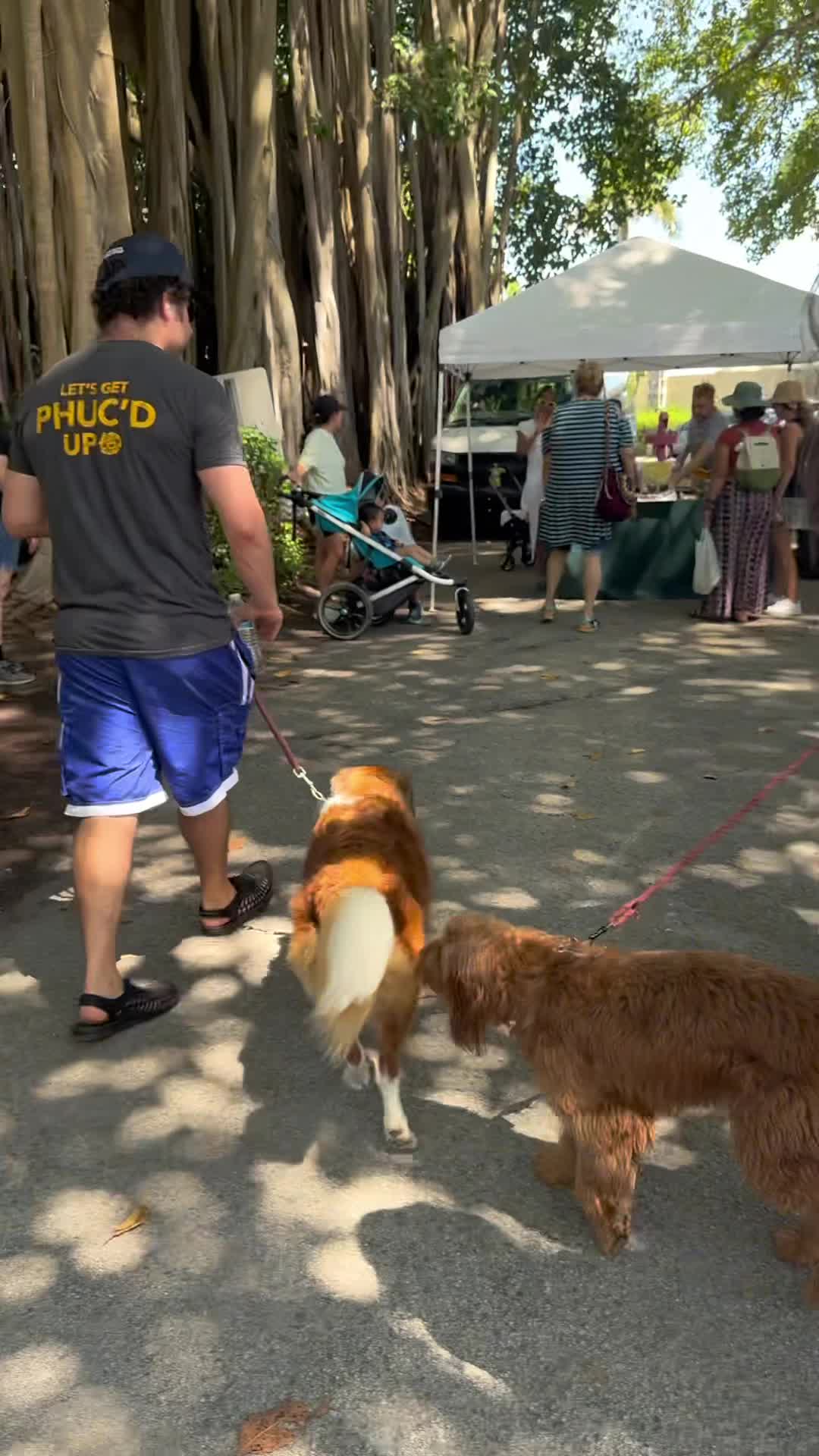 Coral Gables Farmers Market