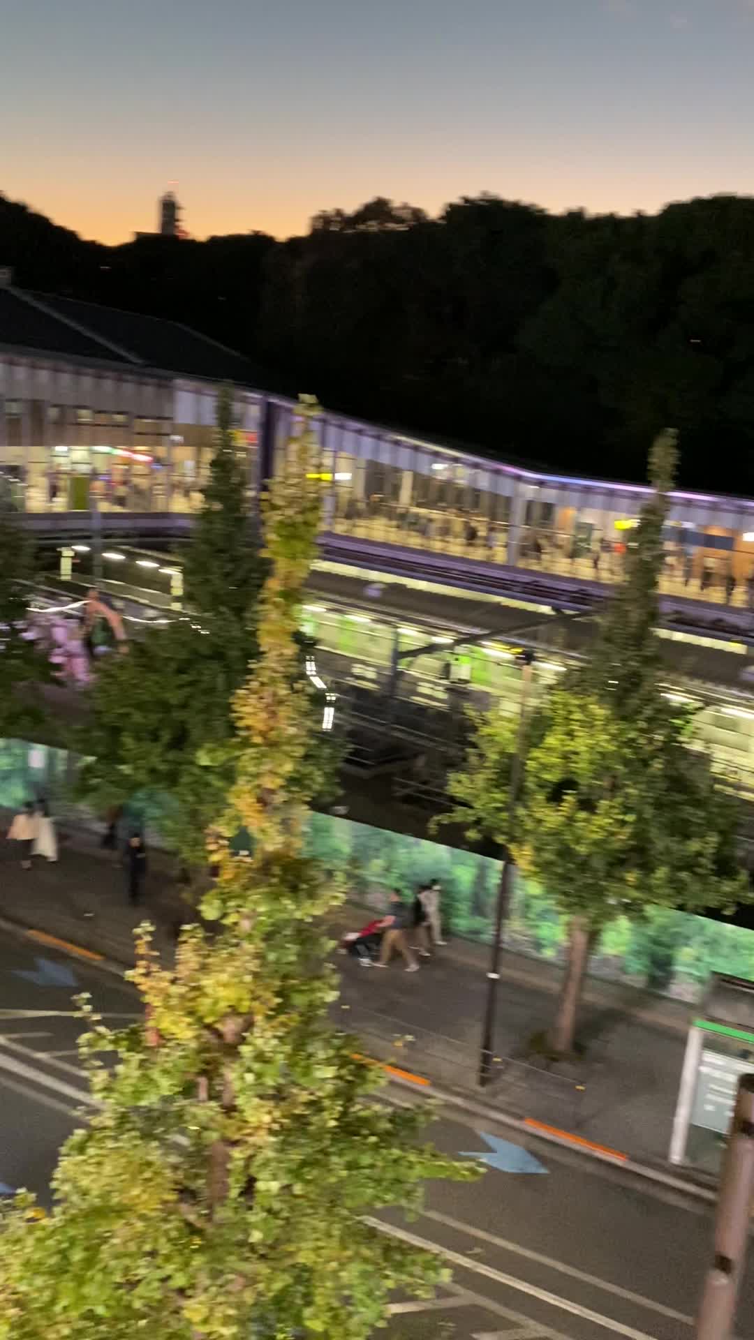 Harajuku Park