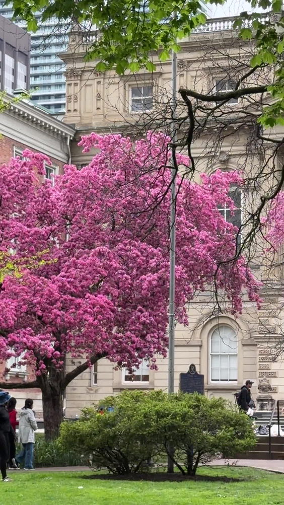 Ontario Superior Court of Justice - Divisional Court