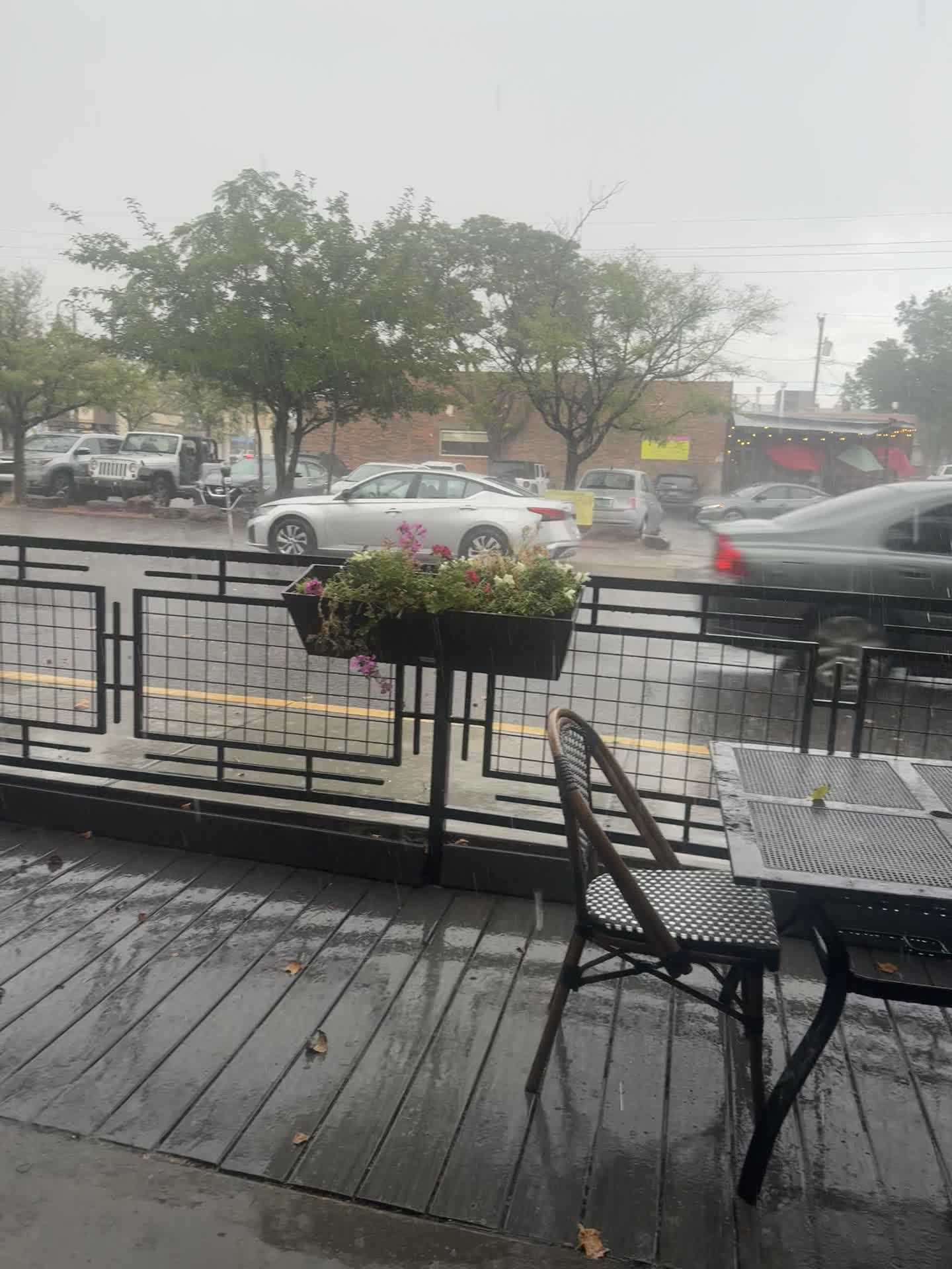 Video review of The Artichoke Cafe