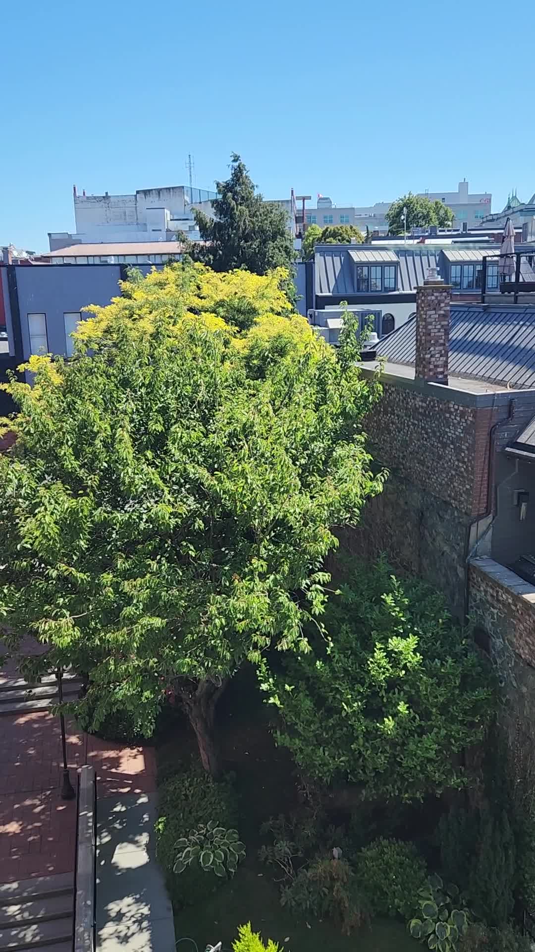 Victoria Regent Hotel