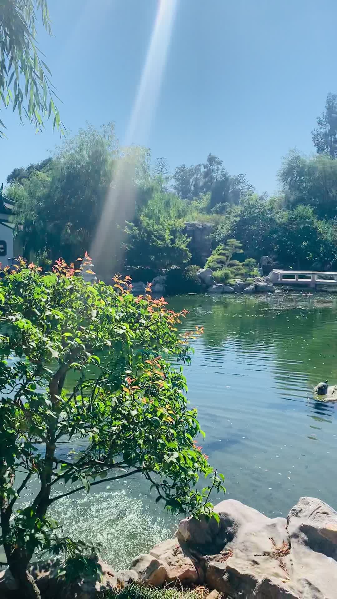 The Huntington Library, Art Collections, and Botanical Gardens