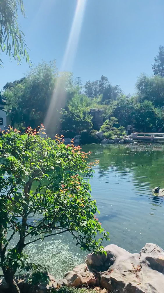 The Huntington Library, Art Collections, and Botanical Gardens