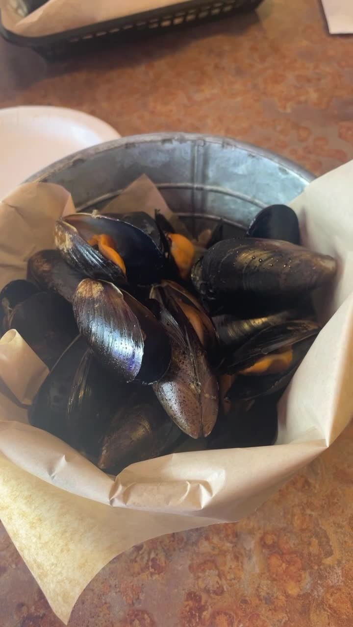 Groupers on the Gulf