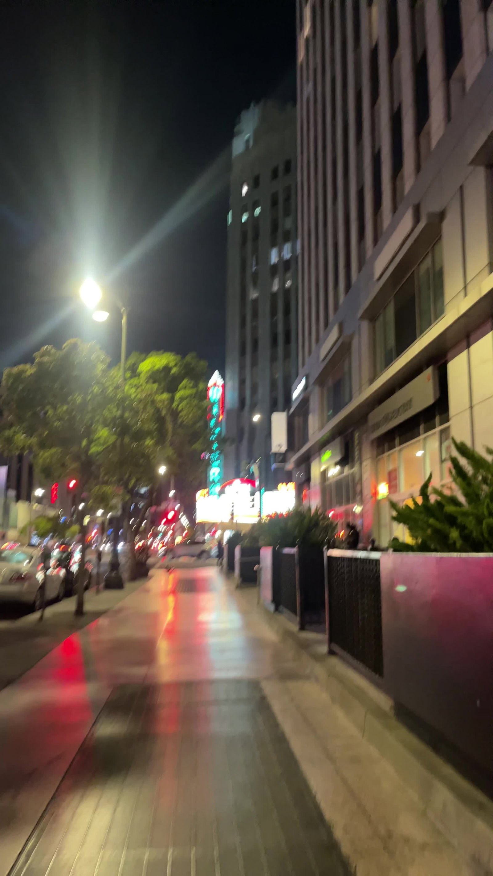 Video review of The Wiltern