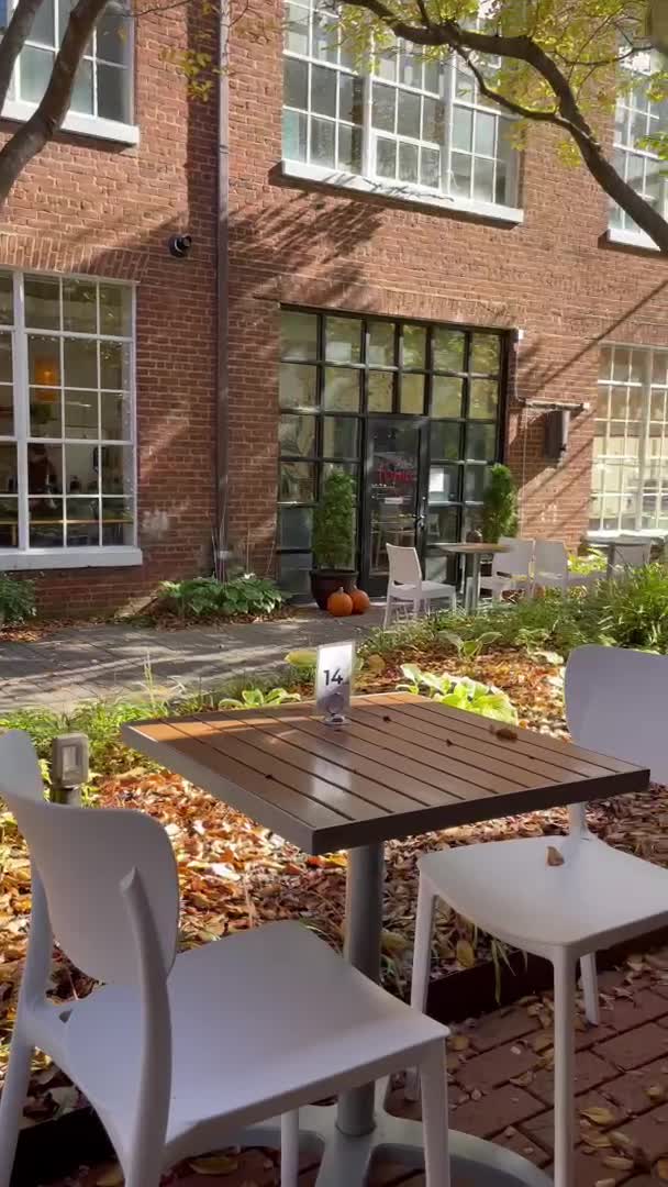 Video review of Tonic