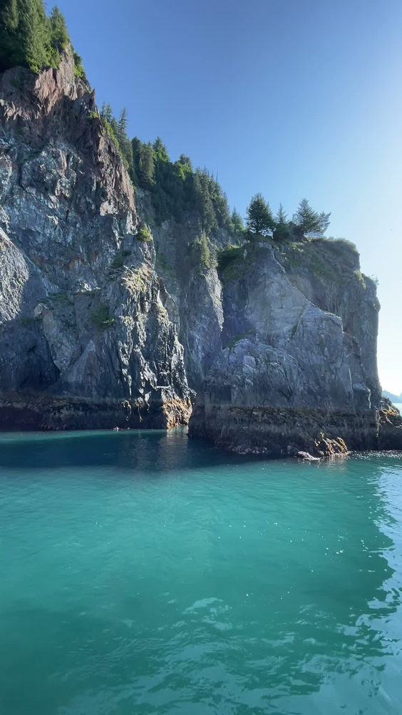 Kenai Fjords Tours