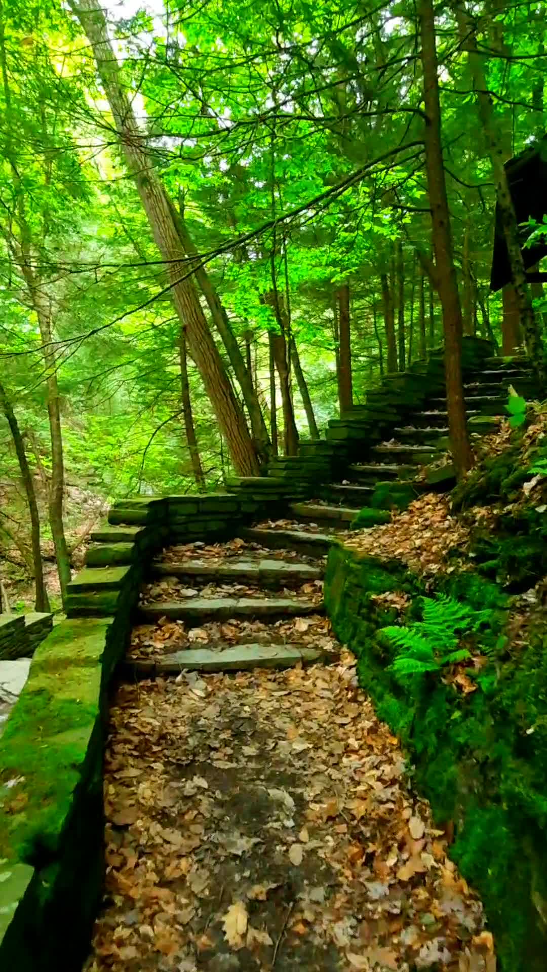 Buttermilk Falls State Park