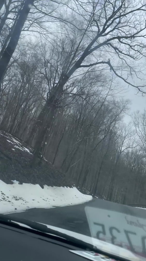 Patapsco State Park - Cascade Falls Trailhead
