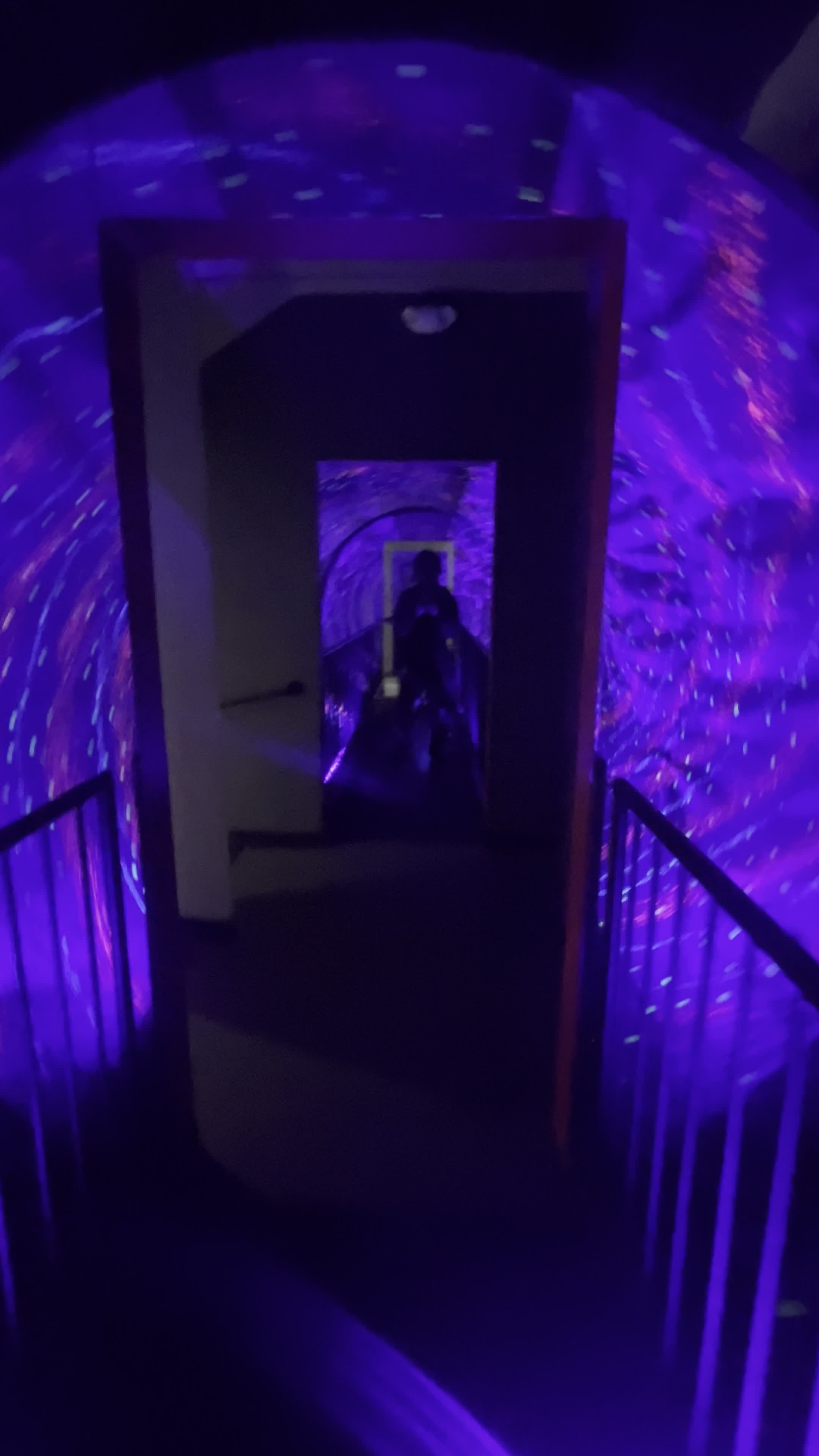 Video review of Crown Center