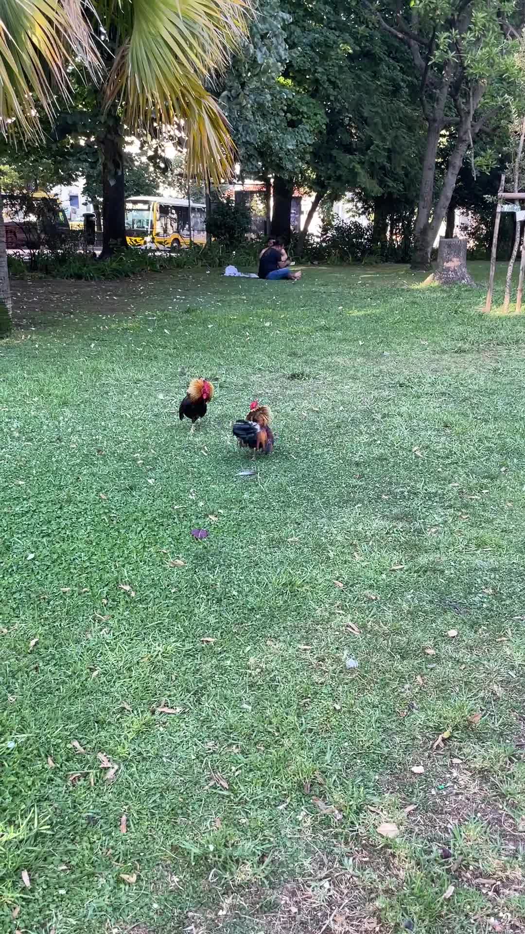 Casa de Pasto O Escondidinho
