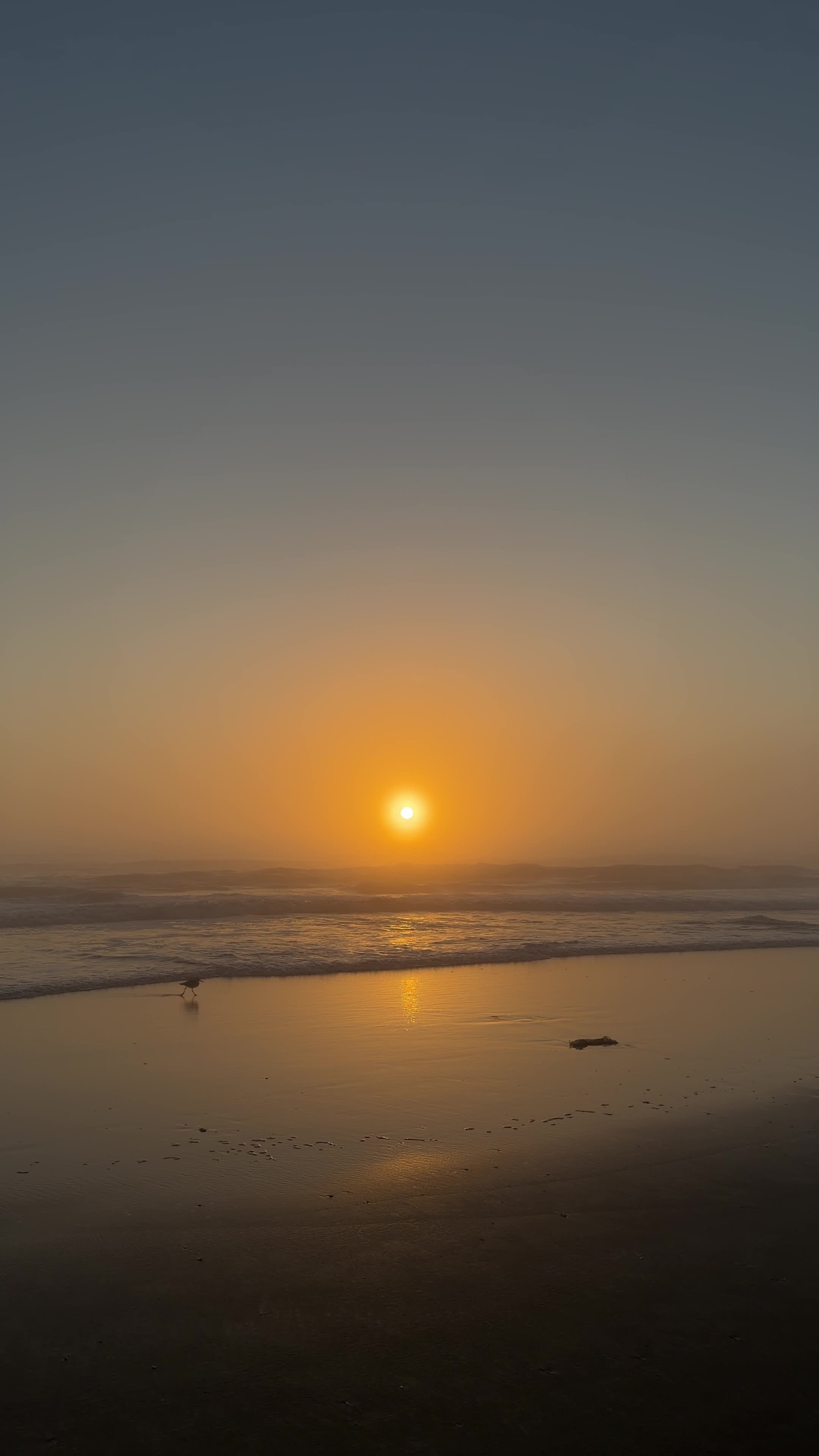 Video review of The Anchor