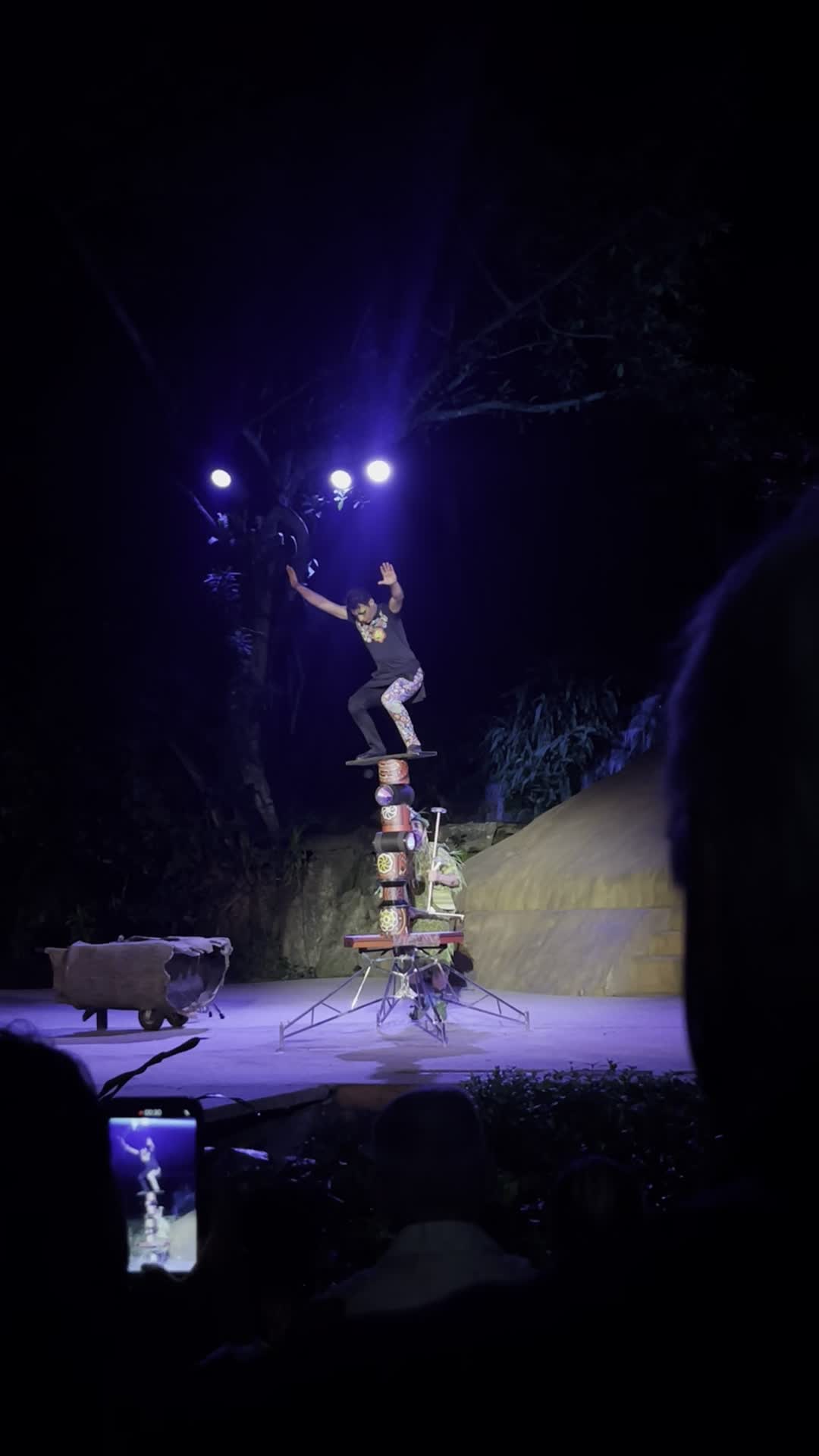 Rhythms of the Night by Vallarta Adventures