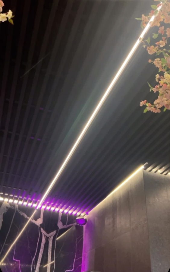 TANG Asian Luxury Restaurant & Bar