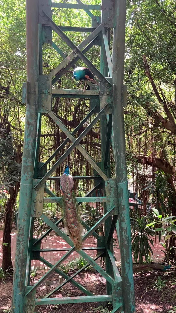 Kuala Lumpur Bird Park