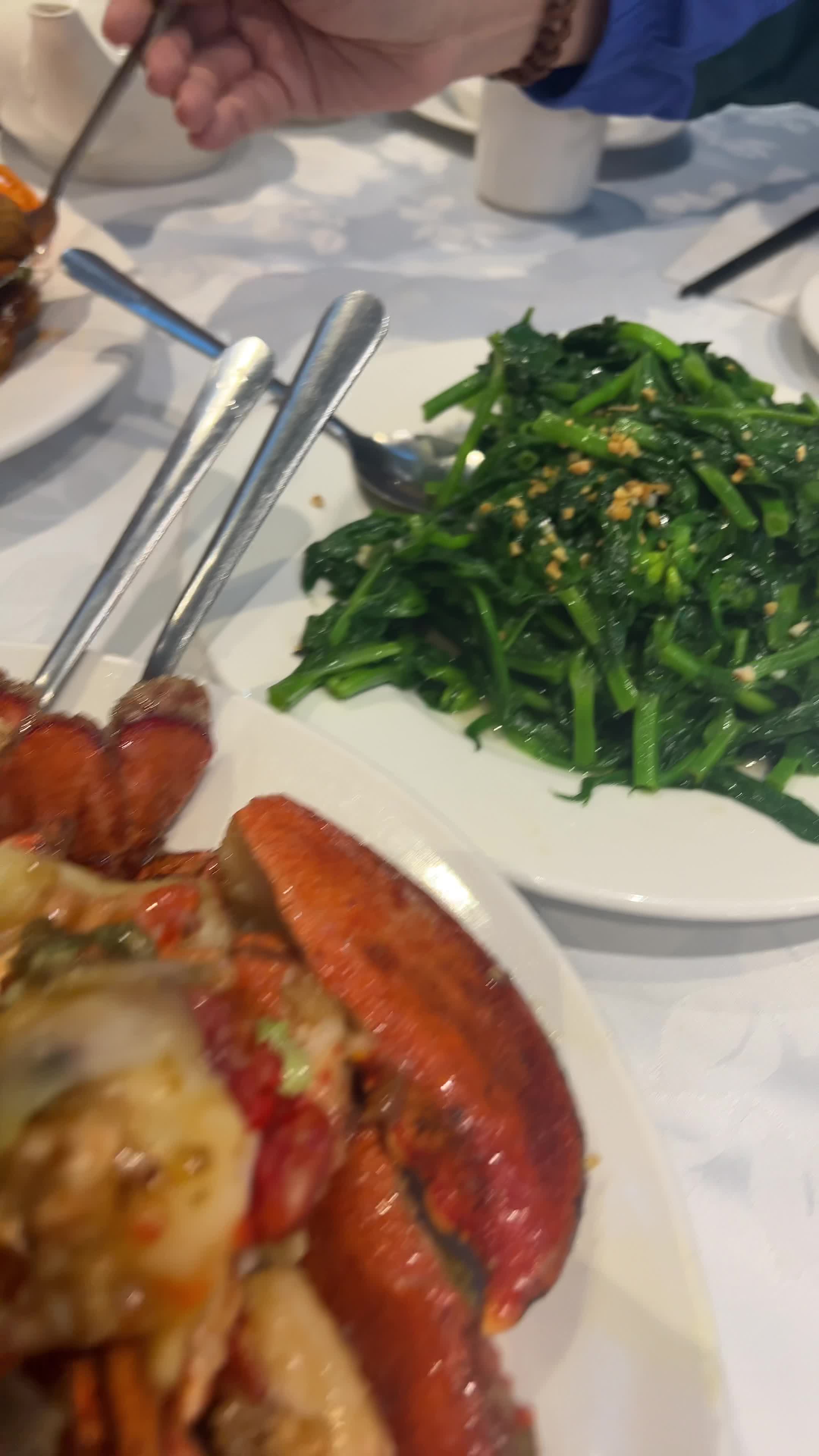 Video review of Fancy Chinese Cuisine