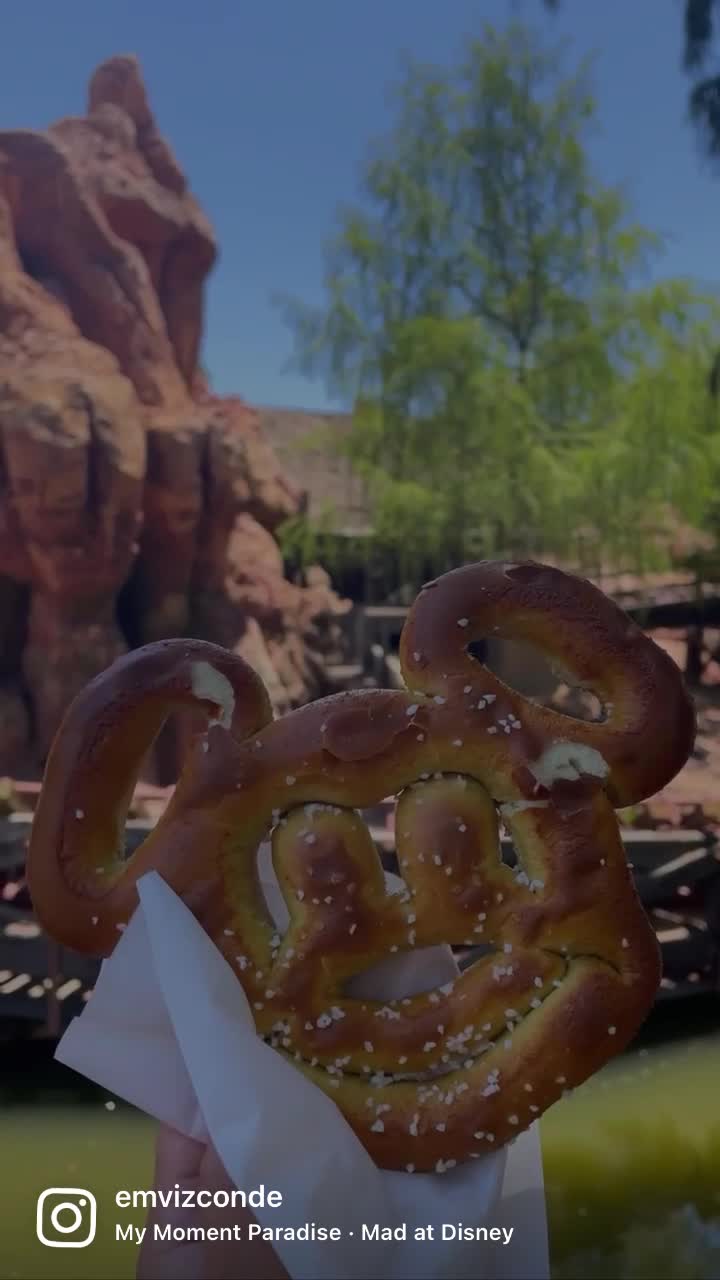 Disneyland Park