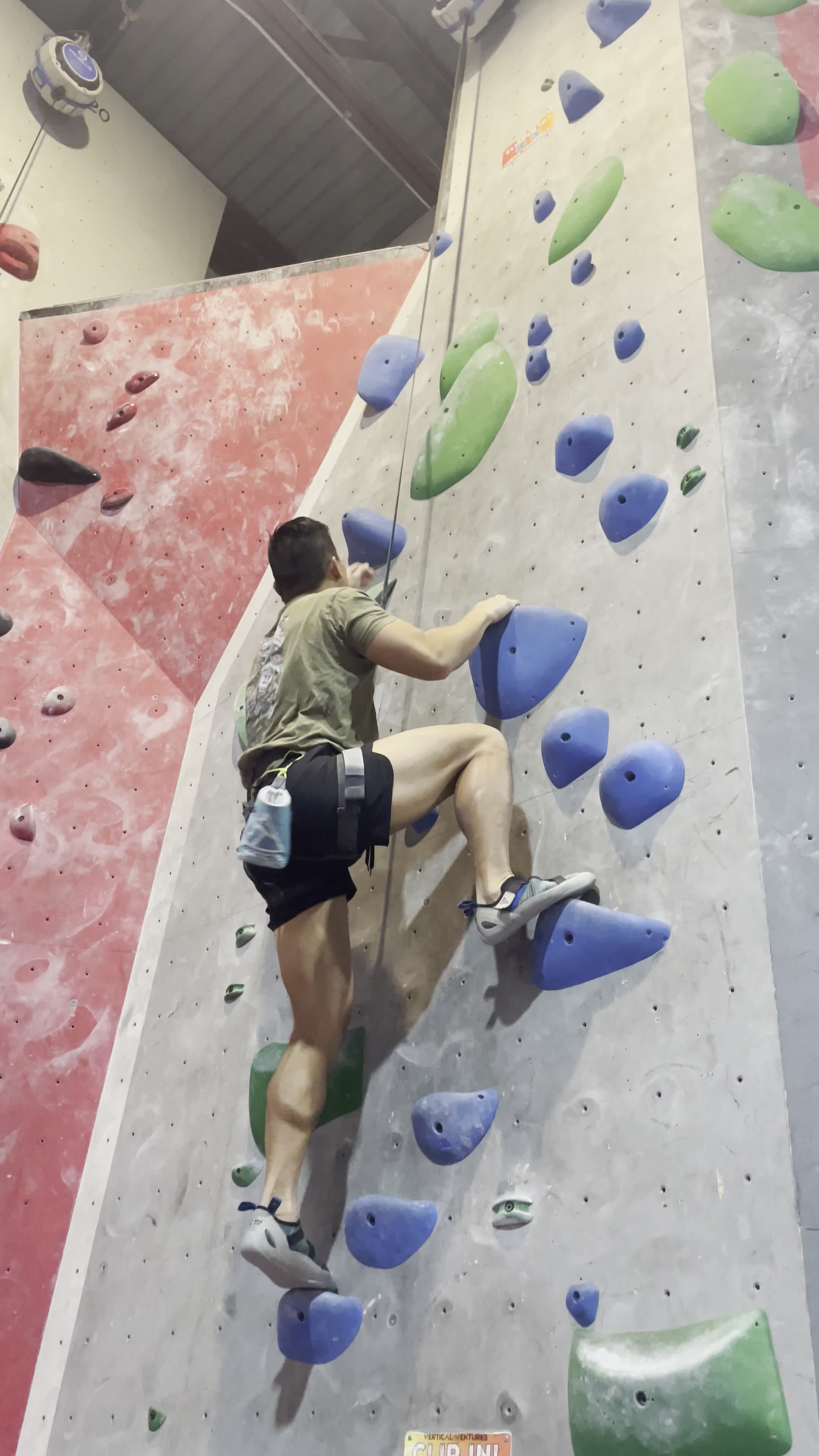 Vertical Ventures St. Pete