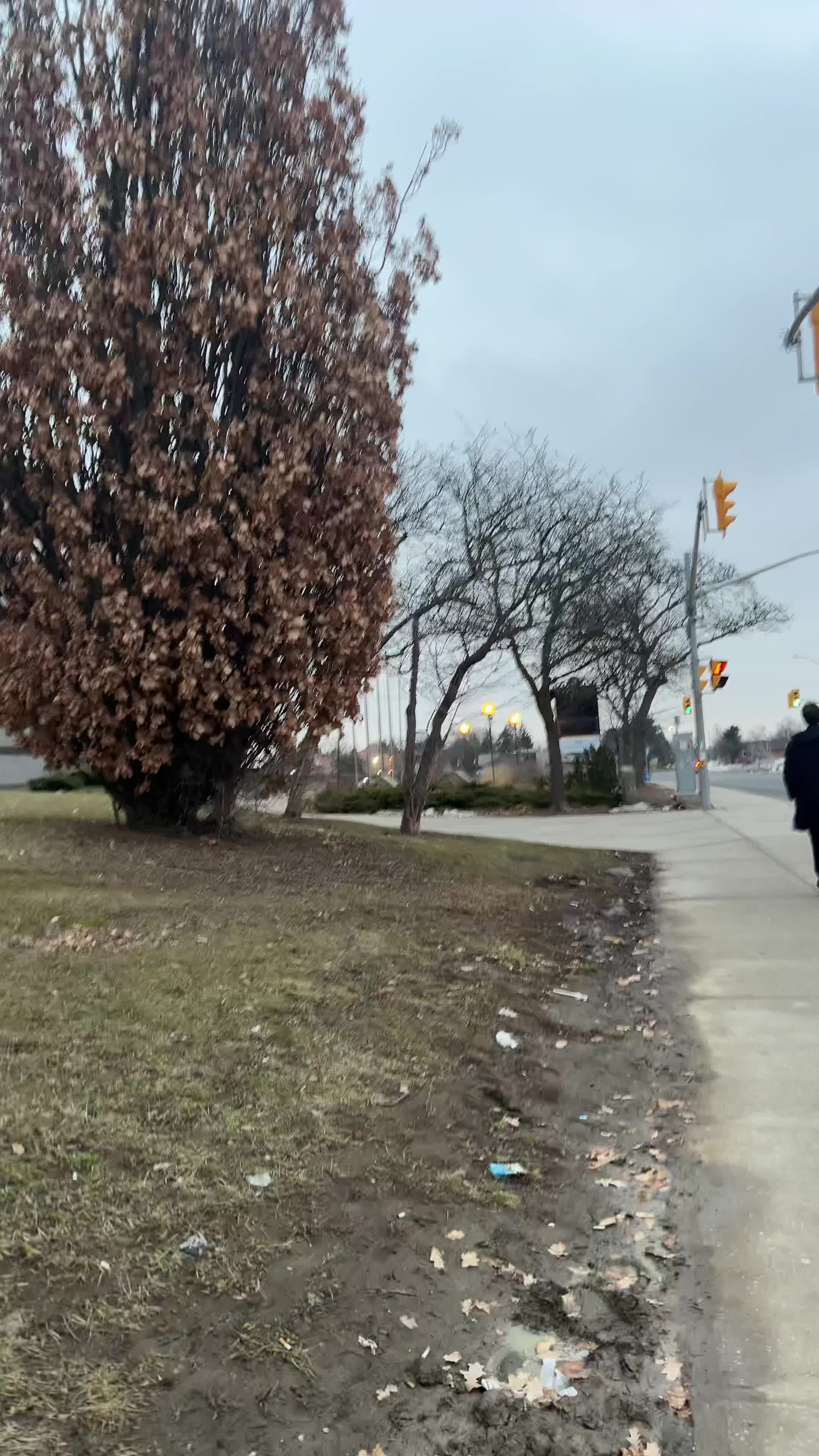 Brampton Ontario - Bramelea City Centre
