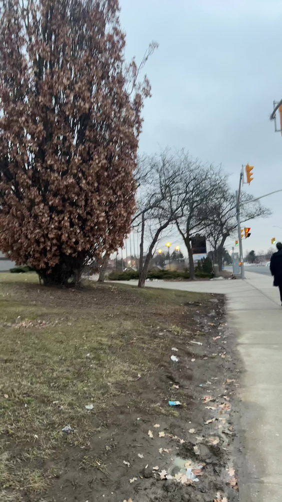 Brampton Ontario - Bramelea City Centre