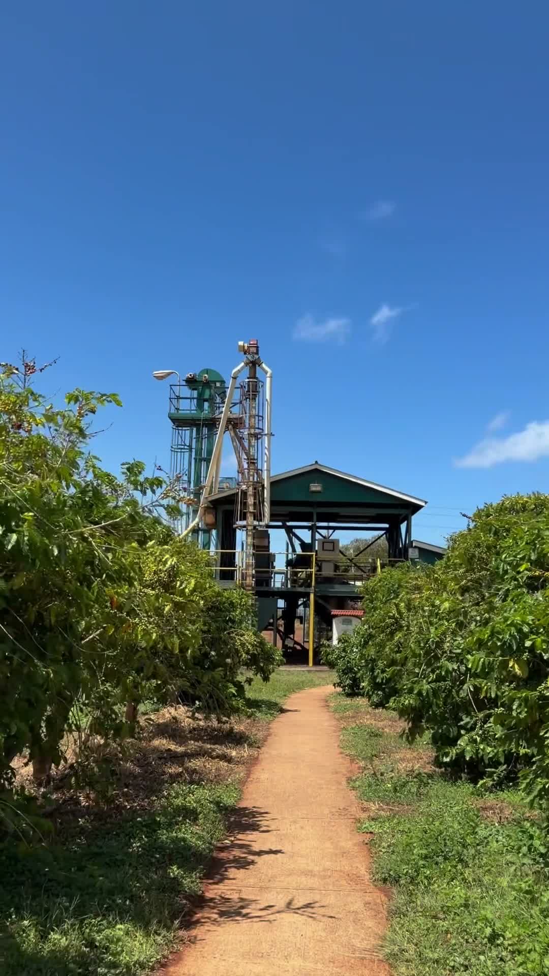 Video review of Kauai Coffee Plantation