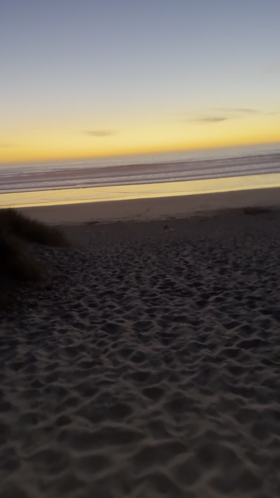 Santa Cruz Beach Boardwalk