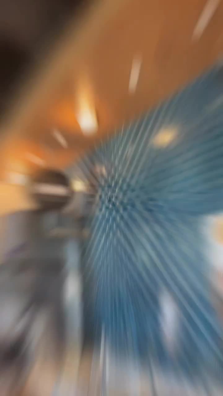 California Fish Grill