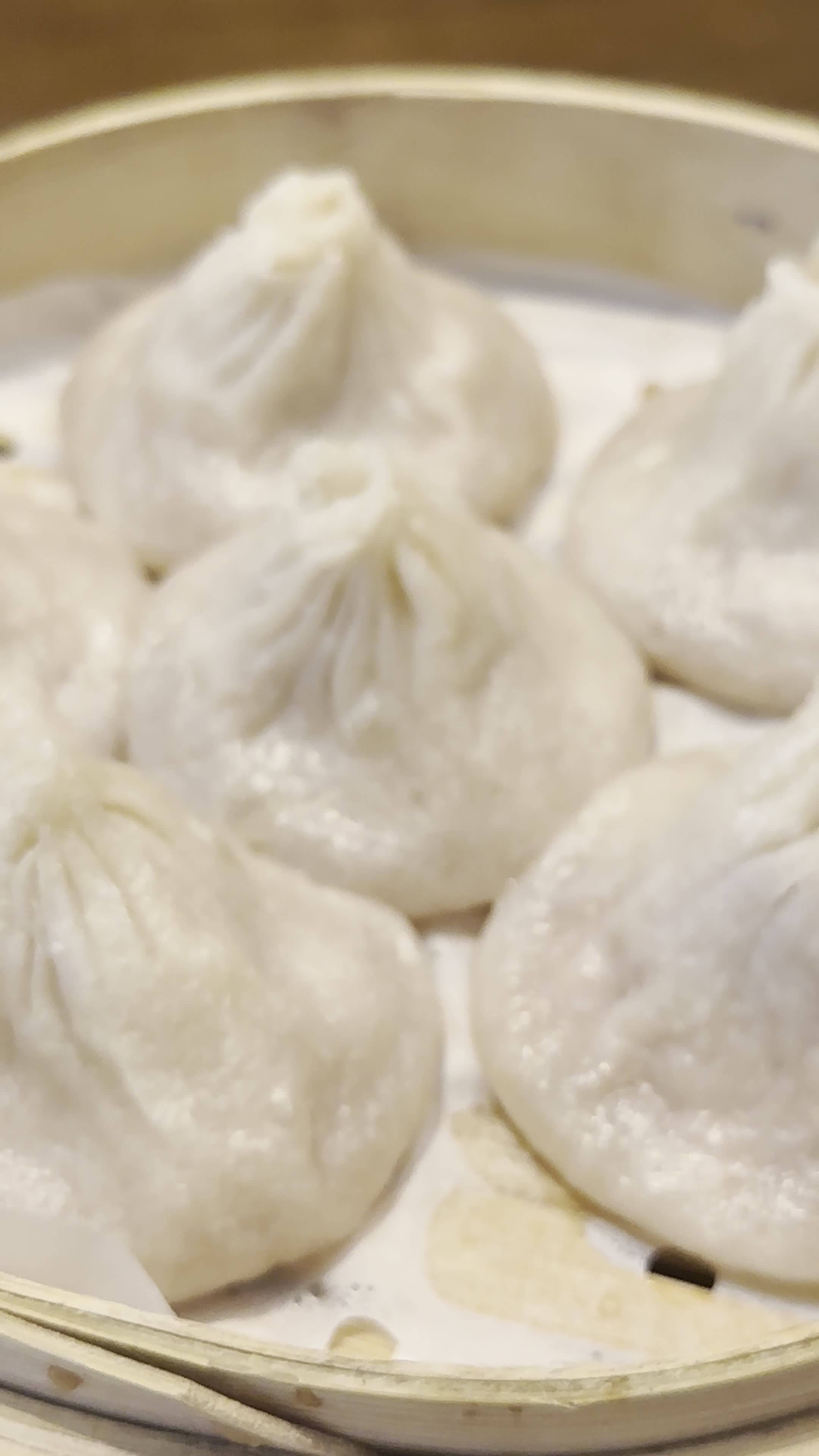 Nan Xiang Xiao Long Bao 南翔小籠包