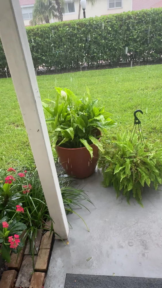 Booze Garden