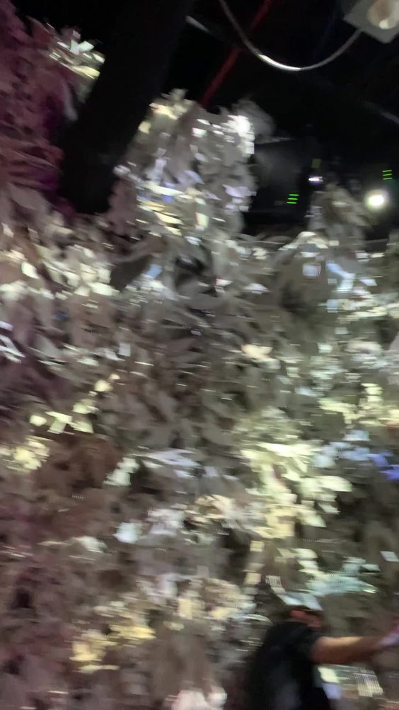 Meow Wolf Area 15