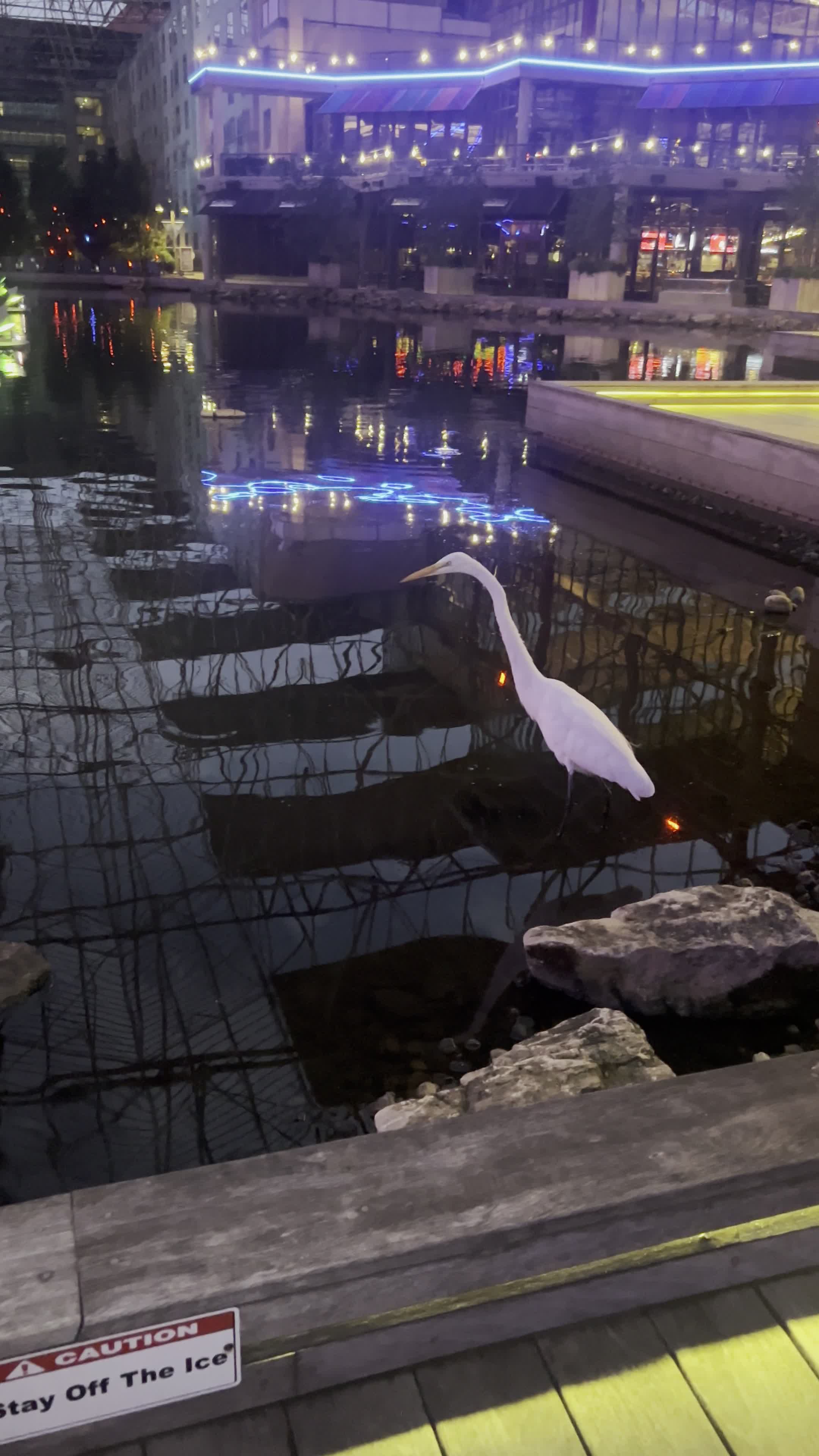 St Louis Union Station Hotel, Curio Collection by Hilton