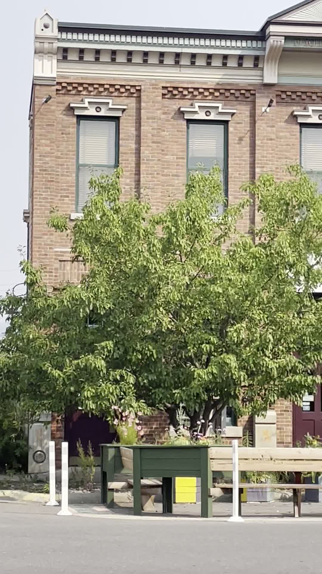 Video review of Bernice's Bakery