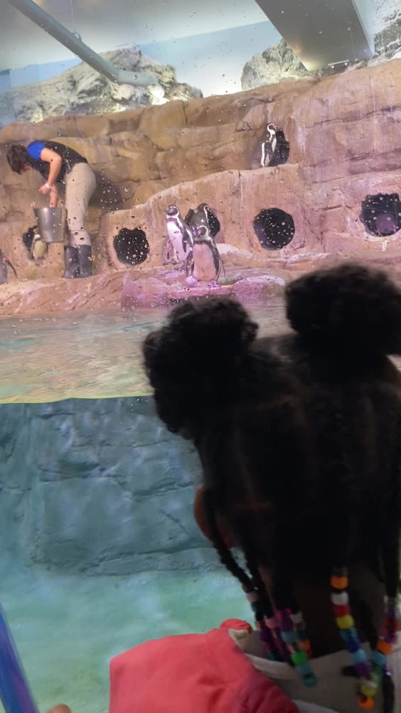 Aquarium of Niagara