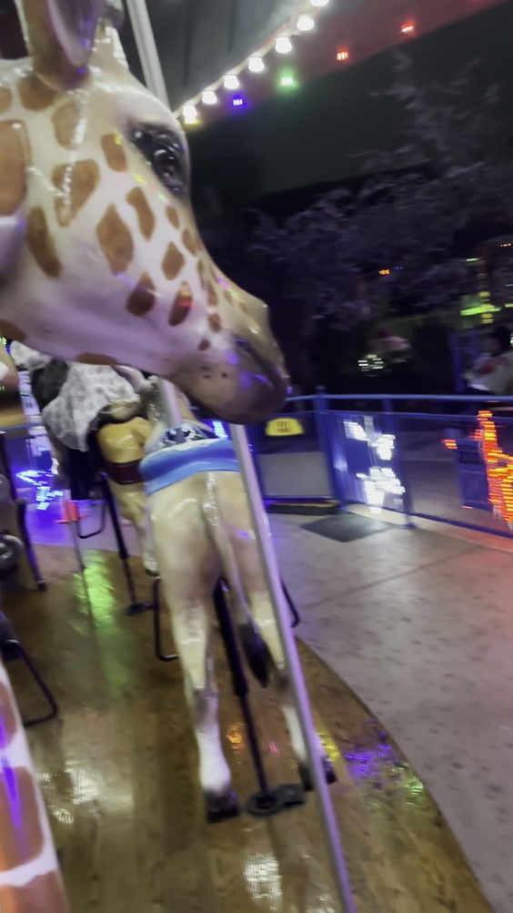 Houston Zoo Carousel