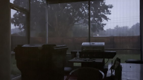 Boyle's Backyard