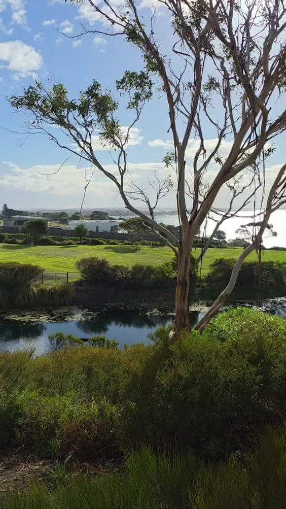 Phillip Island Point