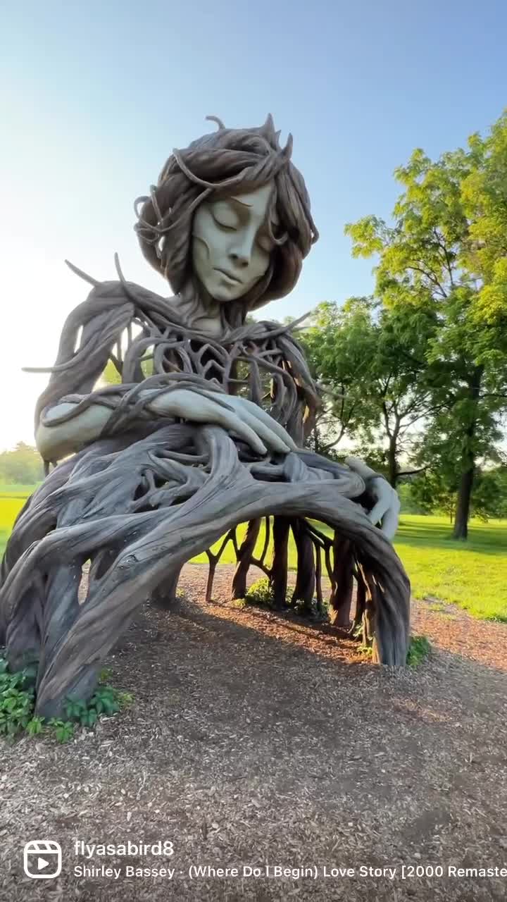 The Morton Arboretum