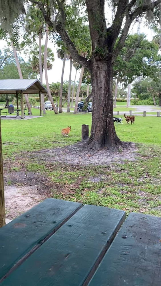 Hosford Park