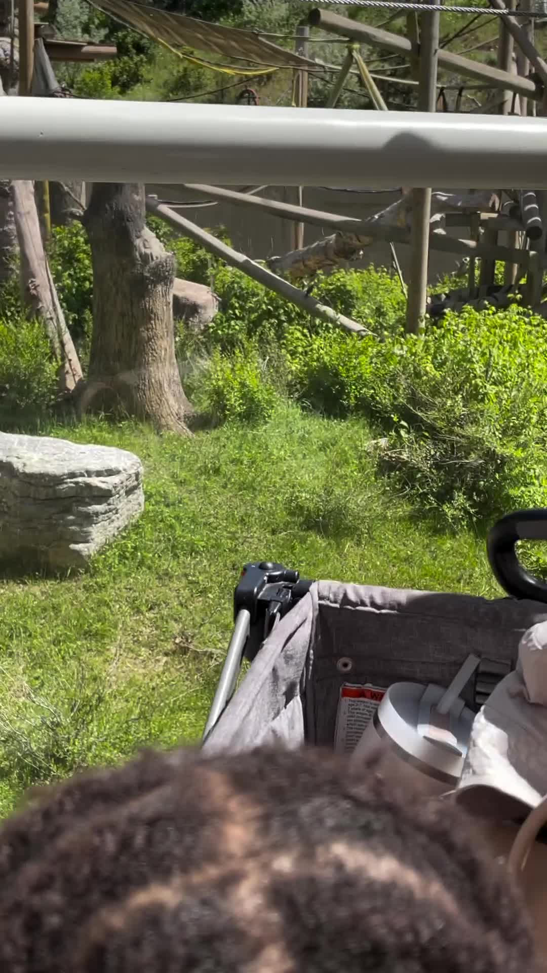 Video review of Utah's Hogle Zoo