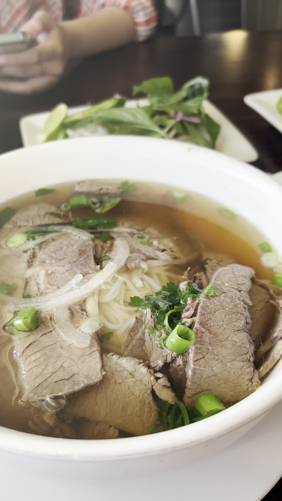 Video review of City of Des Moines Marina