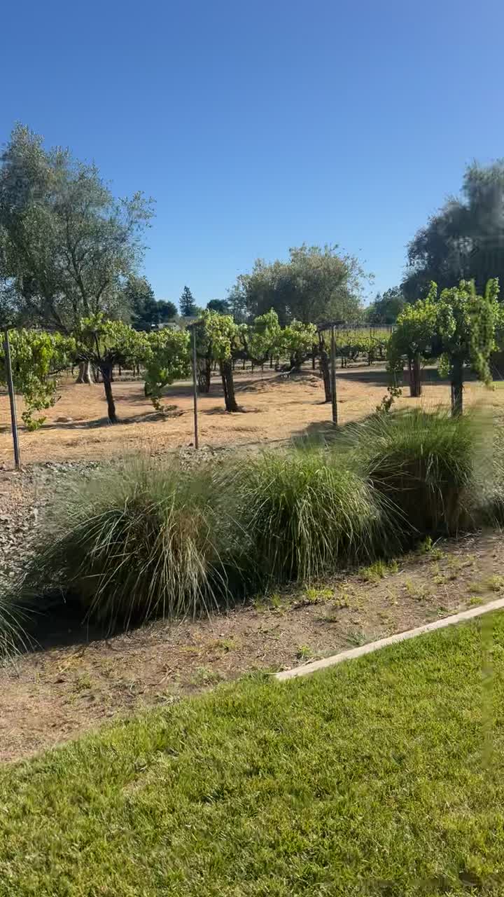 Vintners Inn