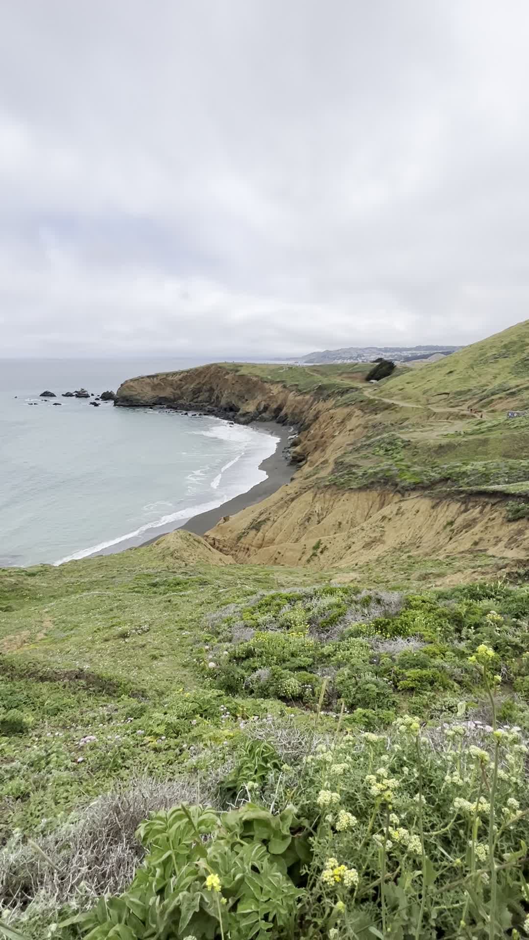 Mori Point